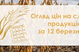 Пшениця та ячмінь подорожчали — огляд цін на с/г продукцію за 12 березня