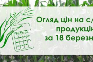 Закупівельні ціни на кукурудзу продовжують зростати — огляд за 18 березня