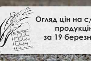 В Україні подорожчали олійні — огляд цін на с/г продукцію за 19 березня