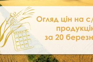 Соняшник та соя продовжують дорожчати — огляд цін на с/г продукцію за 20 березня