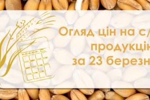 В Україні подорожчали зернові та олійні — огляд цін на с/г продукцію за 23 березня