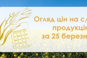 Закупівельні ціни на соняшник зросли  — огляд за 25 березня