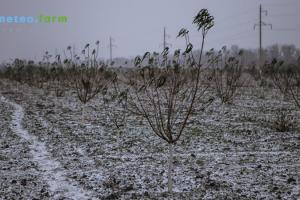 В Україні сніг та морози —- погода на тиждень