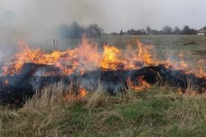 Штрафи за підпал трави зростуть до 150 тисяч гривень