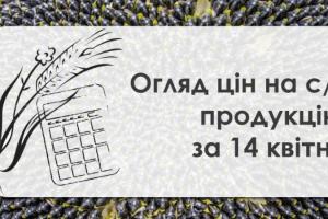 Кукурудза та соняшник подорожчали  — огляд цін на с/г продукцію за 14 квітня