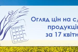 Ціна пшениці перевищила 200 доларів за тонну  — огляд за 17 квітня