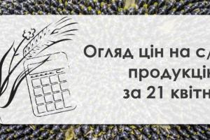 Кукурудза та соняшник подорожчали — огляд цін на с/г продукцію за 21 квітня