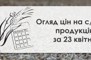 Ціни на пшеницю пішли до низу — огляд за 23 квітня