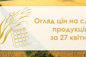 Закупівельні ціни на кукурудзу знизились — огляд за 27 квітня