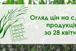 В Україні подорожчала пшениця — огляд цін на с/г продукцію за 28 квітня