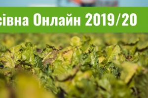 В Україні посіяно майже 200 тисяч га цукрових буряків 