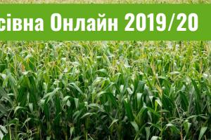 Аграріям залишилось засіяти 14% площ кукурудзи — Посівна Онлайн