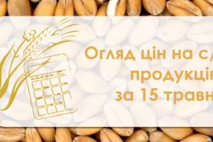 Закупівельні ціни на пшеницю та кукурудзу пішли до низу — огляд за 15 травня