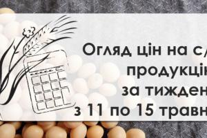 Як змінились ціни на зернові та олійні — огляд за тиждень з 11 по 15 травня 