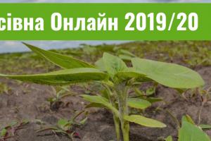 Визначено Топ-5 областей за посівними площами соняшнику