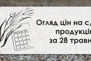 Кукурудза подорожчала — огляд цін на с/г продукцію за 28 травня