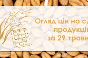 В Україні стабілізувались ціни на соняшник — огляд за 29 травня