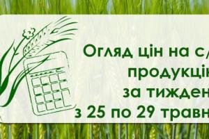 Як змінились ціни на зернові та олійні — огляд за тиждень з 25 по 29 травня