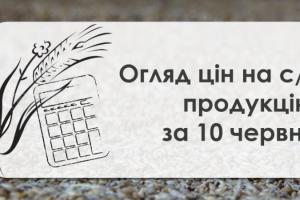 Закупівельні ціни на соняшник зросли — огляд за 10 червня