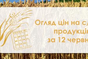 Закупівельні ціни на пшеницю почали зростати — огляд за 12 червня