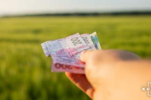 Фермери Дніпропетровщини отримають гранти для розвитку онлайн продажів