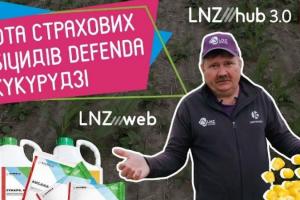 На LNZ Hub дослідили ефективність страхових схем гербіцидного захисту кукурудзи