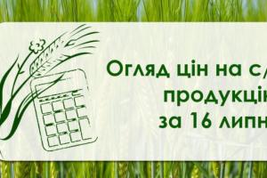 Ціна пшениці перевищила 6 тисяч грн/т — огляд за 16 липня