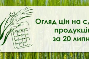 Як змінились ціни на с/г культури — огляд за 20 липня