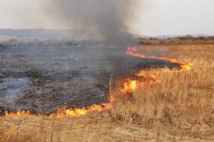 Фермер зазнав збитків у розмірі 100 тисяч грн через підпал поля