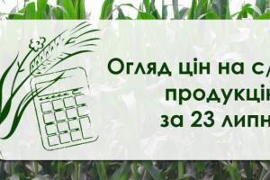 Пшениця дорожчає четвертий тиждень поспіль — огляд за 23 липня 