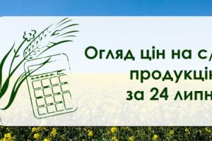 Як змінились ціни на зернові та олійні — огляд за 24 липня