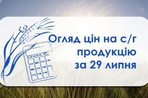 Від початку сезону пшениця подорожчала на 10% — огляд за 29 липня