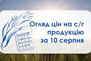 В Україні подешевшала пшениця — огляд цін на с/г продукцію за 10 серпня