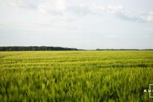 На Запоріжжі чоловік самовільно захопив 33 га землі