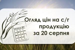 В портах продовжує дешевшати пшениця фуражна — огляд цін на с/г продукцію за 20 серпня