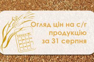 В Україні дорожчає зерно — огляд цін на с/г продукцію за 21 серпня