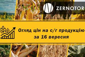 Ціна соняшнику зросла — огляд цін за 16 вересня від Zernotorg.ua