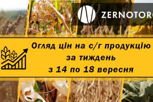 Ціна пшениці продовжує оновлювати максимуми сезону — огляд за тиждень з 14 по 18 вересня від Zernotorg.ua