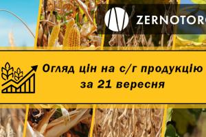 В Україні ціна сої перетнула позначку 13 тисяч гривень — огляд за 21 вересня від Zernotorg.ua