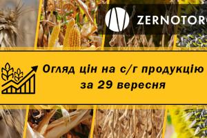 В портах України подешевшала пшениця 2 класу — огляд цін за 29 вересня від Zernotorg.ua