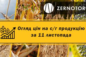 В портах України подешевшала соя — огляд цін за 11 листопада від Zernotorg.ua