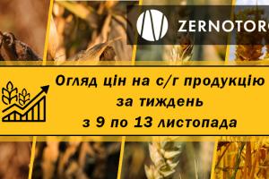 Як змінились ціни на зерно — огляд за тиждень з 9 по 13 листопада від Zernotorg.ua