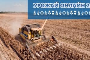 Збір соняшнику в Україні вийшов на фінішну пряму