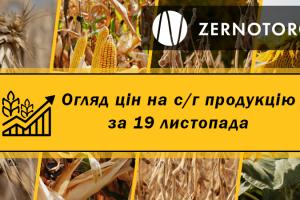 Як змінились ціни на с/г культури в Україні — огляд за 19 листопада від Zernotorg.ua