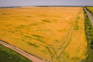 В Україні розпочато передачу сільгоспземель територіальним громадам