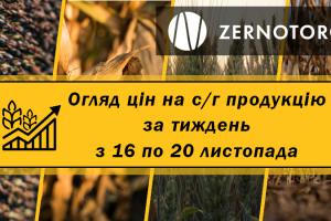 Пшениця, кукурудза, соя — як змінились ціни на с/г культури за тиждень з 16 по 20 листопада