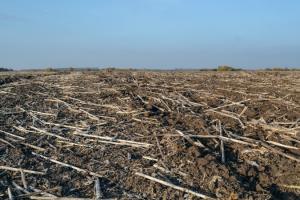 Оприлюднили перелік земельних ділянок що не підлягають оподаткуванню