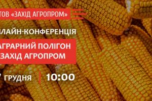 Технології вирощування кукурудзи: підсумки результатів дослідів на Аграрному Полігоні