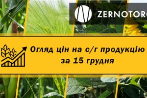 Ціни на зернові та олійні — огляд за 15 грудня від Zernotorg.ua