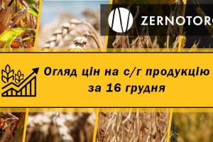 Ціни на с/г продукцію — огляд за 16 грудня від Zernotorg.ua